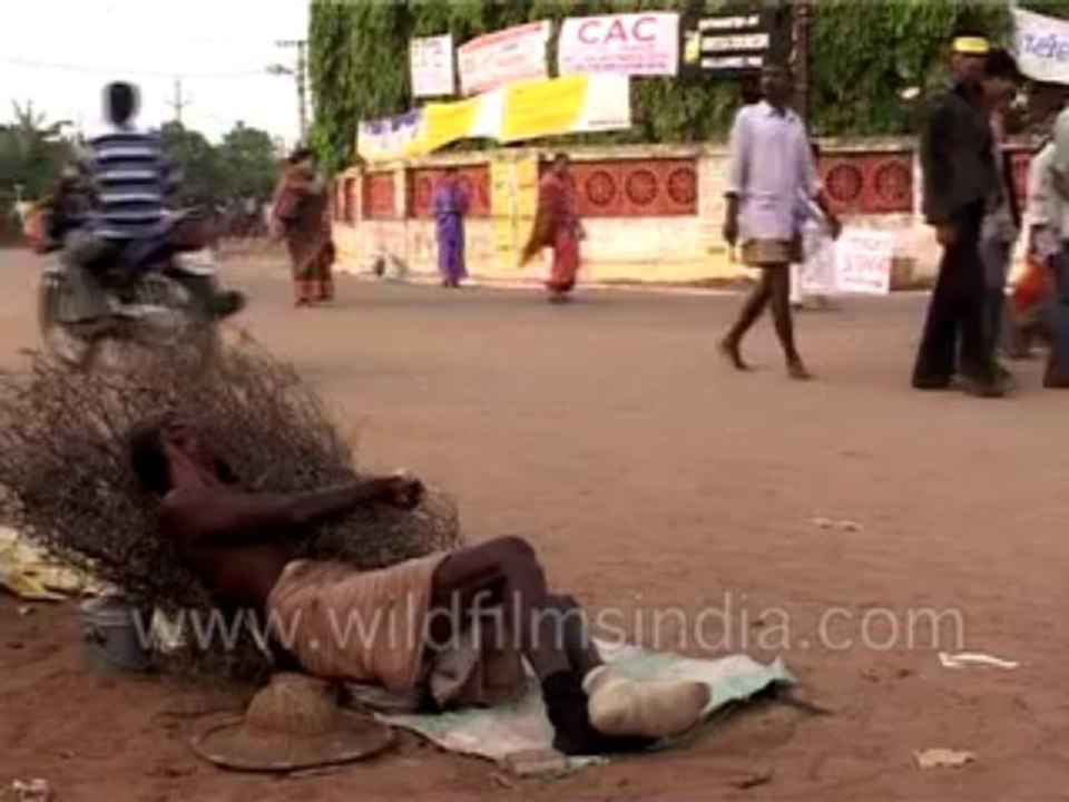 Bed of thorns-MPEG-4 800Kbps