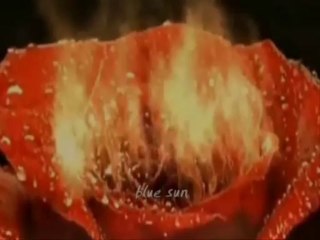 Betül Demir - Ya Ya.