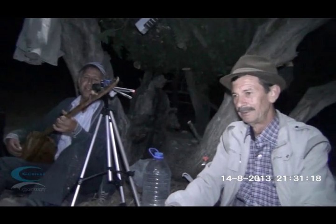 Hastane önünde İncir ağacı - Aşık