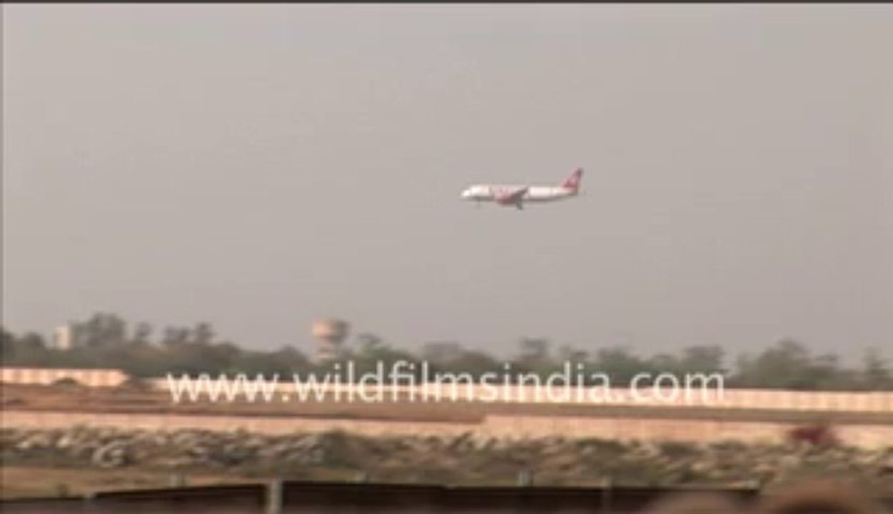 Delhi airport landing