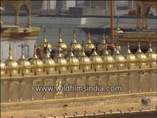 Golden temple(close shots)-MPEG-4 800Kbps