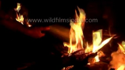 Man burning a langur (monkey) to kill his hunger-MPEG-4 800Kbps