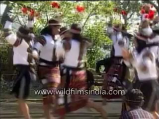the bamboo dance-MPEG-4 800Kbps