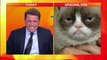 Grumpy Cat On Australian Today Show VS Karl Stefanovic!! So funny live ITW!!