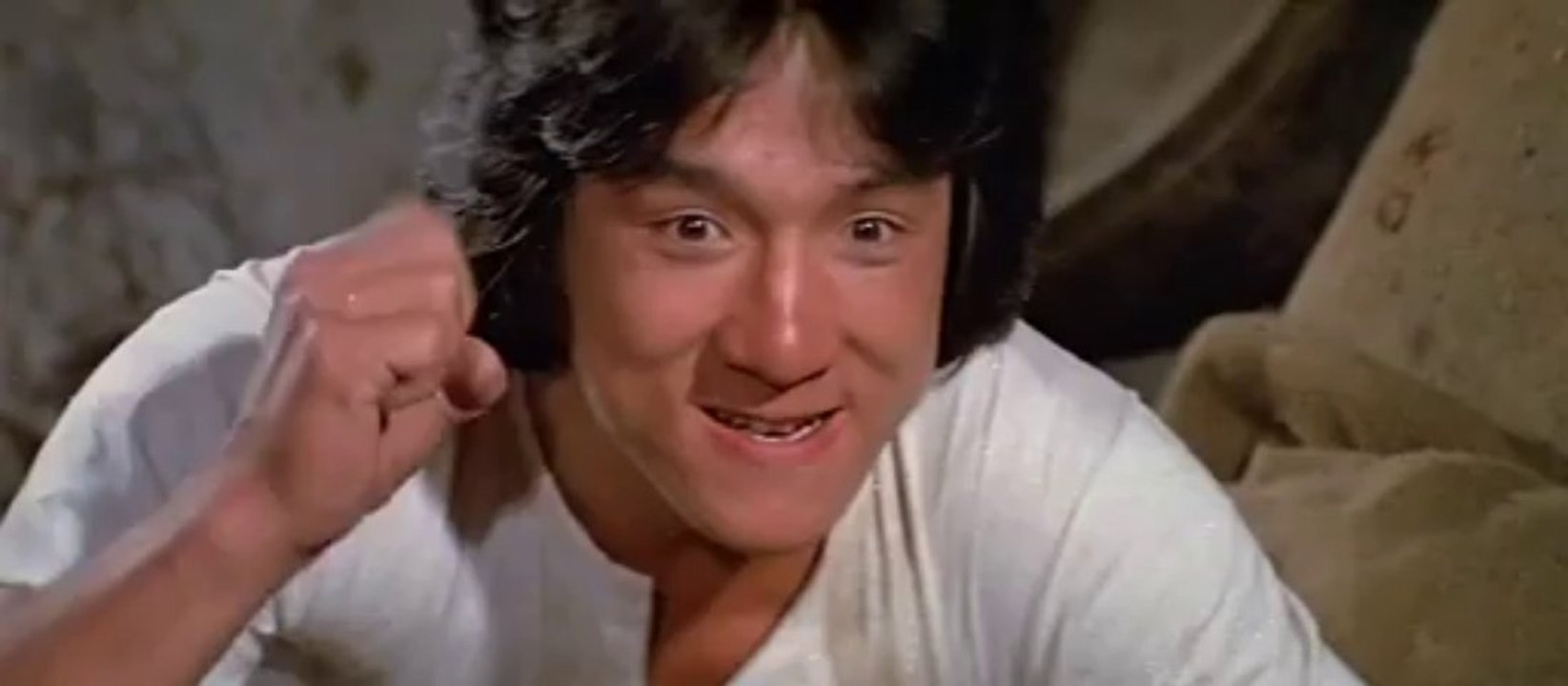 Combat contre un chat et un serpent cobra