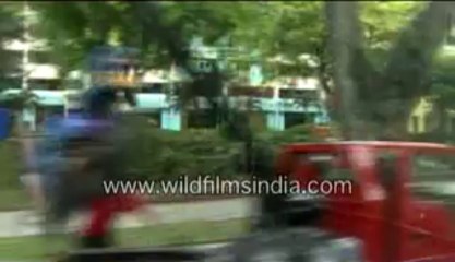 singapore-28-MPEG-4 800Kbps