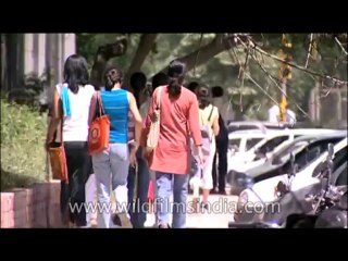 College-Shreevenkateshwara-New Delhi-DVD-151-2