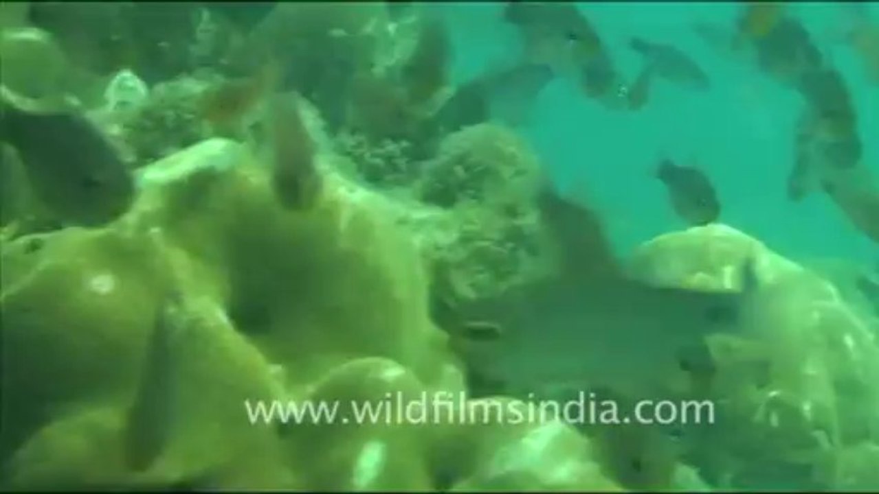 Under water_tape_3a_00-56-46-15