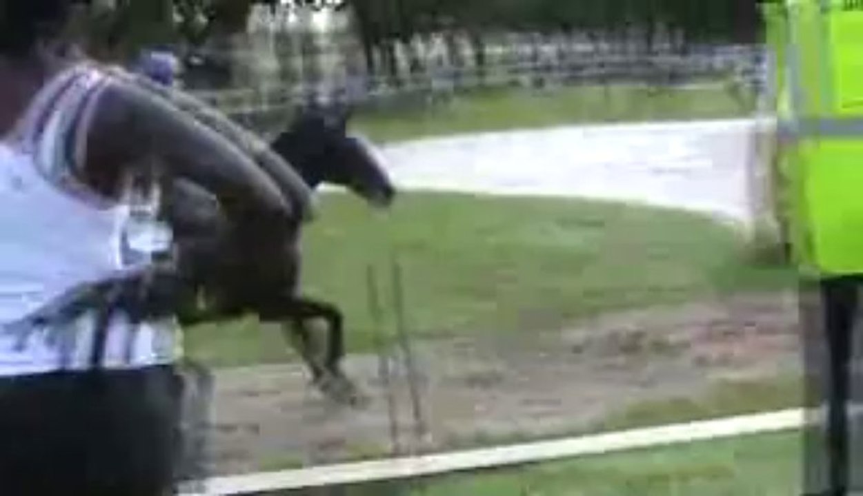 cross cecile 2