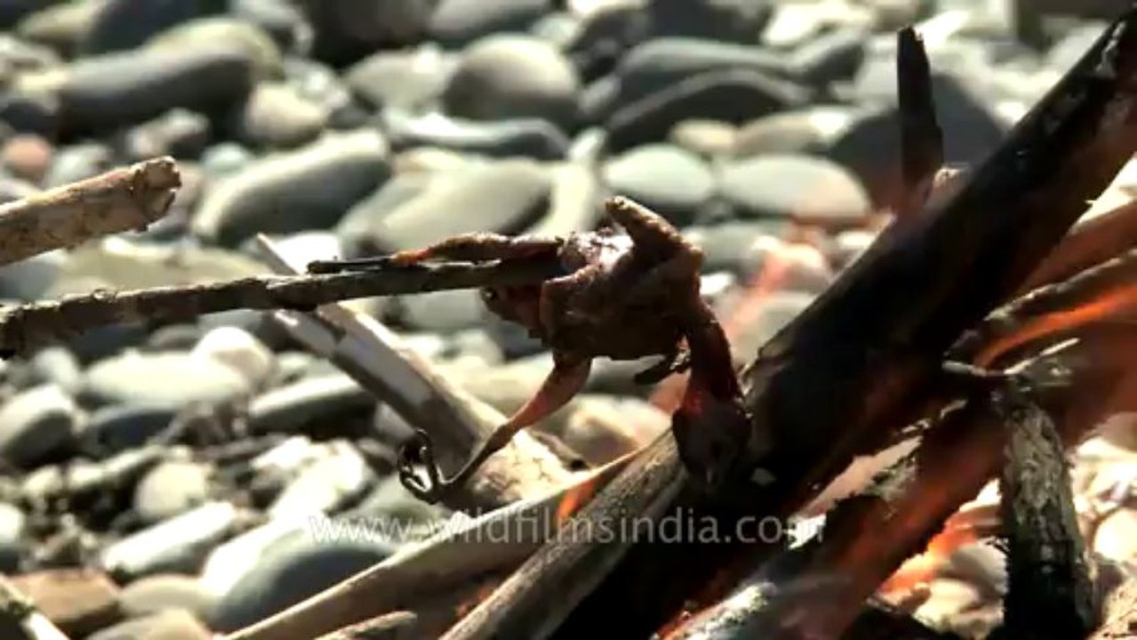 Bird roasting-Nagaland