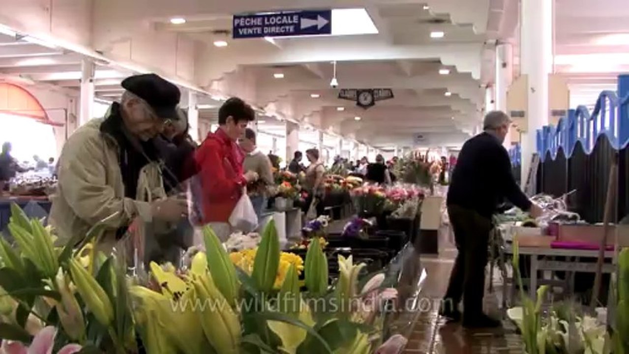 Cannes-tape 1-hdv-607-Flowers-3