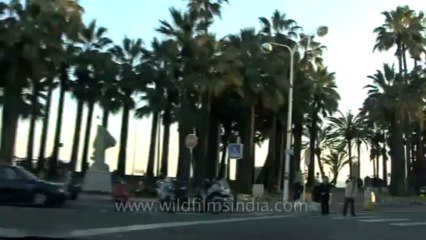 Cannes-tape 1-hdv-607-yacht