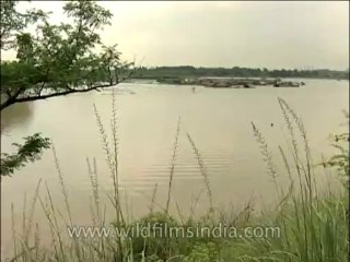 Delhi-Yamuna-DVD-173-2