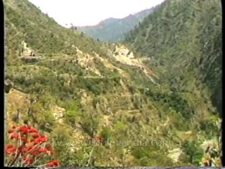 DVD-134-gangotriyamunotri-film-1-4