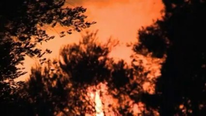 Un incendie dévastateur à Majorque, en Espagne