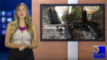 A casual morning coffee run… and guns? Starbucks is becoming a hub for pro-gun protests!