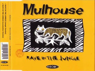 MULHOUSE - Rave in the jungle (jungle version)