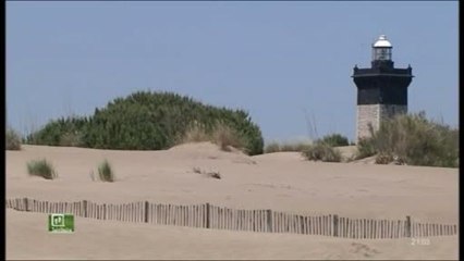 Territoire - Plage de l'Espiguette - 16/08/2013 (Partie 1)