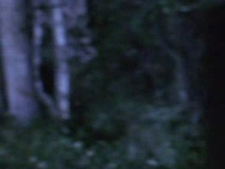 Dark Willow: Ma Dernière Création 🌿