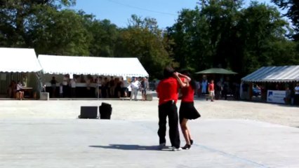 FORUM ASSOCIATIONS 2012 SALSA