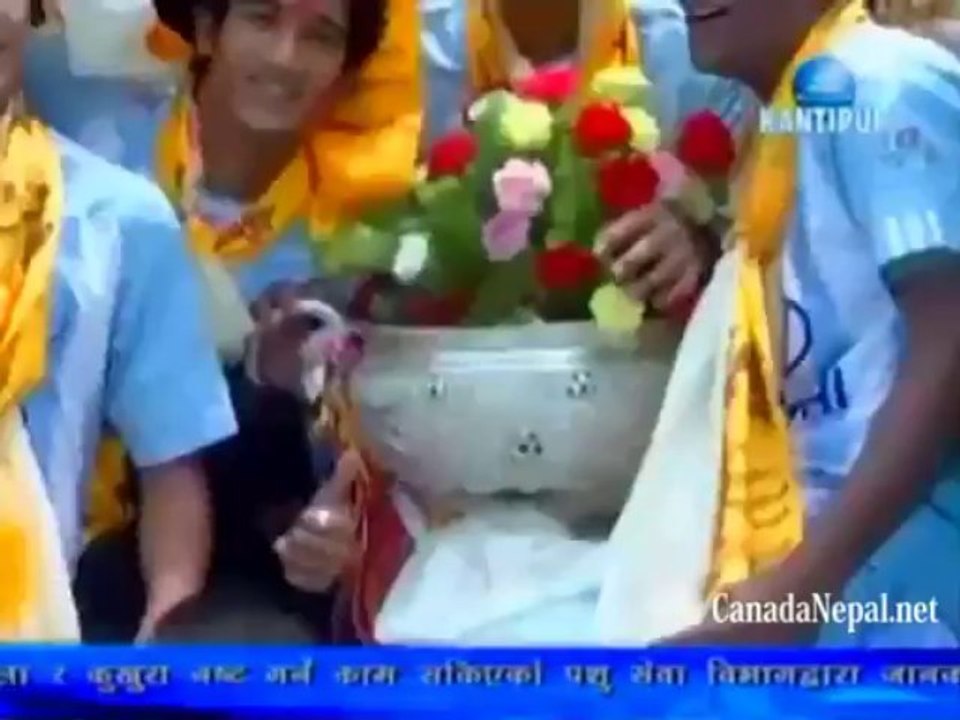 Score Board August 21 2013