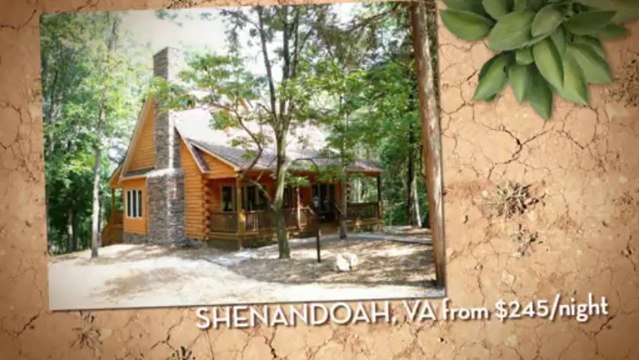 Condo for Rent in Puerto Vallarta Mexico-Mexico Rentals