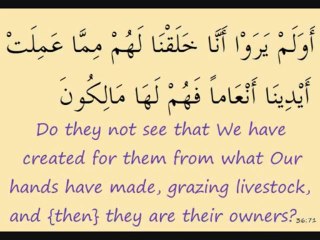Surah 36 Ya Seen (Y.S), TOTAL 19 MINUTES, Recited by Husary, Part 2 - YouTube
