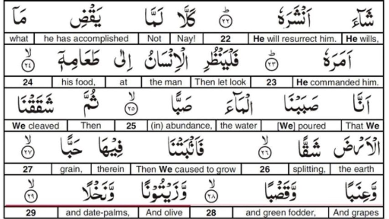 Surah 80 Al Abasa He Frowned Recited by Abdul Baset Abdus Samed - YouTube
