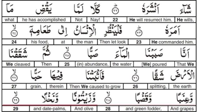 Surah 80 Al Abasa He Frowned Recited by Abdul Baset Abdus Samed - YouTube