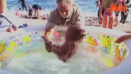 Controversial Baby Dynamics Yoga