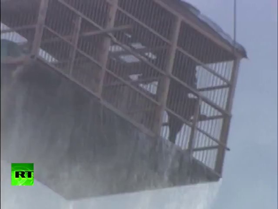 2 ours sauvés de la noyade en russie. Sauvetage par hélicoptère impressionnant.