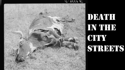 DEATH IN THE CITY STREETS