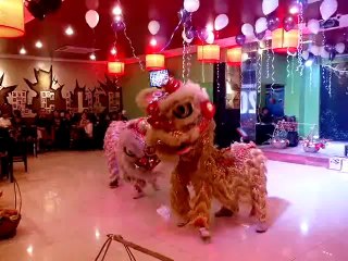 CHO THUÊ MÚA LÂN BIỂU DIỄN ẢO THUẬT XIẾC THÚ LH 0968 168 724