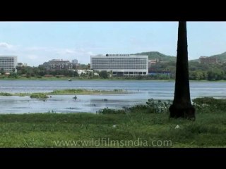 DVD-175-maharashtra-mumbai-11-1