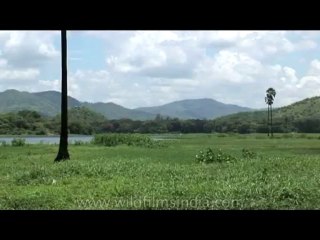 DVD-175-maharashtra-mumbai-11-2