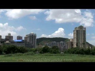 DVD-175-maharashtra-mumbai-11-6