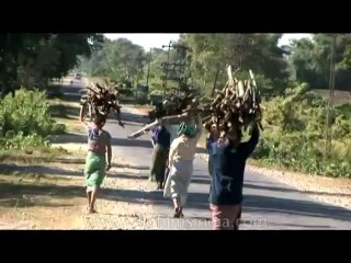 DVD-175-ne-arunachal-10-2