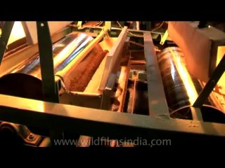 DVD-175-ne-teagarden-5-1