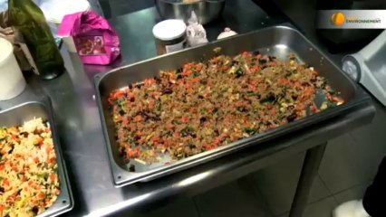 Réduire l'apport en protéines animales dans l'alimentation pour préserver l'environnement