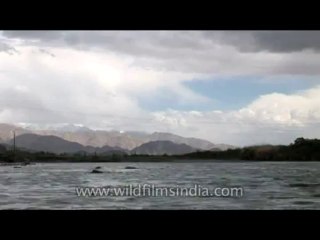 DVD-177-landscape-ladakh-4-3