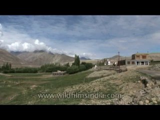 DVD-177-landscape-ladakh-5-1