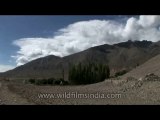 DVD-177-landscape-ladakh-5-3
