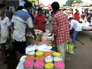 DVD-191-religion-jaggannath-14-1