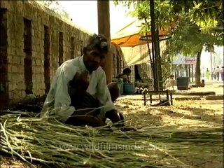 DVD-204-up-agra-13-2