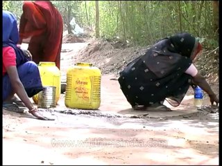 Endavour-paving-dvd-172-1