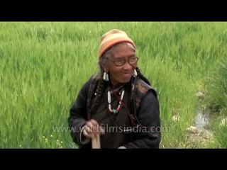 Faces-ladakhi woman-dvd-178-2