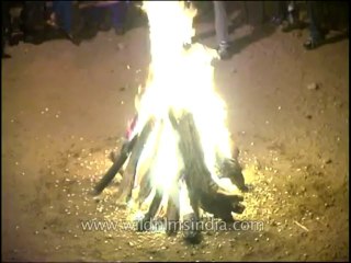Festivals-lohri-dvd-169-3