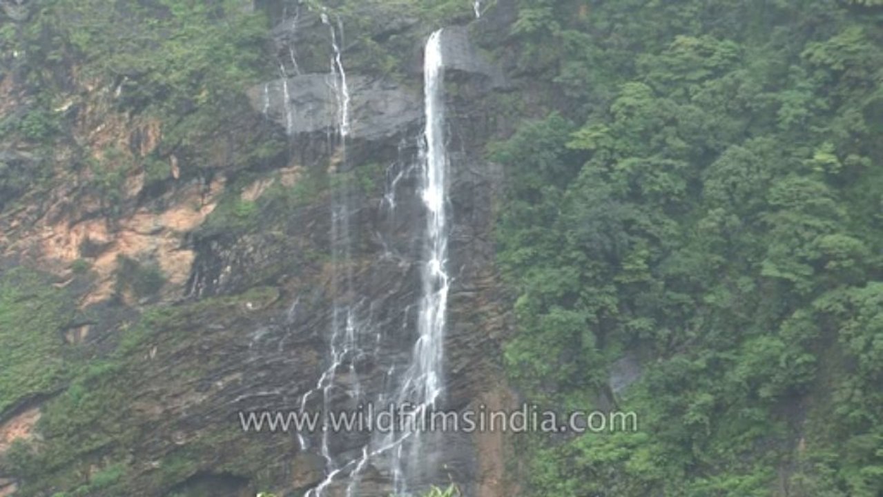 Jog falls-hdv-546-8