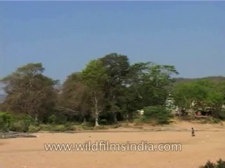 Karnataka-cauvery-safari-DVD-122-1