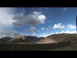 Ladakh-dvd-178-18